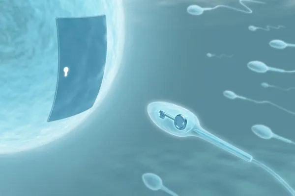 تجربتي في تحديد نوع الجنين بالحقن المجهري