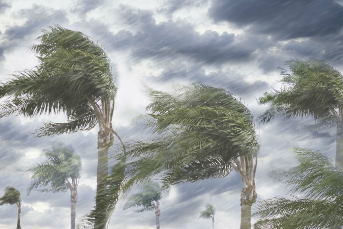 تفسير رؤيا الرياح الشديدة والعواصف