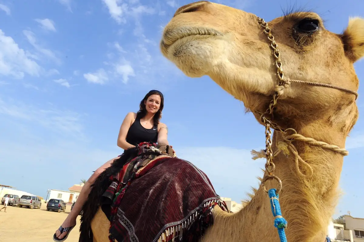 3206camel ride2 - تفسير الاحلام
